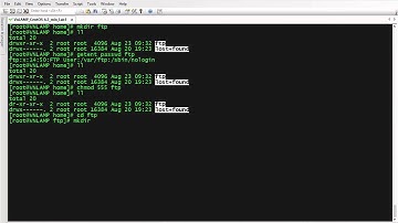 Vsftpd Configuring Just For Anonymous Client Upload and Download