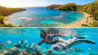 Snorkeling in Oahu for beginners - Why is Hanauma Bay in Hawaii your perfect spot?