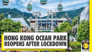 Ocean park in hong kong has reopened it's doors after four months of
lockdown due to coronavirus. watch this video know more on this.
#hongkong #oceanpark...