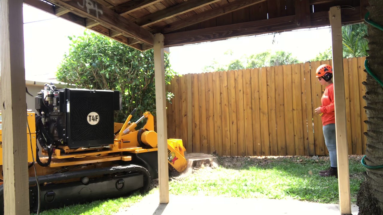 Carlton SP 7015 TRX Stump Removal YouTube