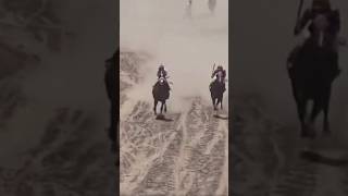 Horse race Macs king vs hall road and macs king win