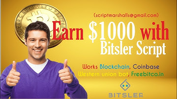 BITSLER SCRIPT (2020)