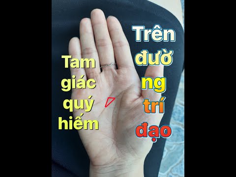 Tam Giác Quý Hiếm Trên Đường Trí Đạo | Phải Xem Mới Biết Ý Nghĩa Của Nó -  Youtube