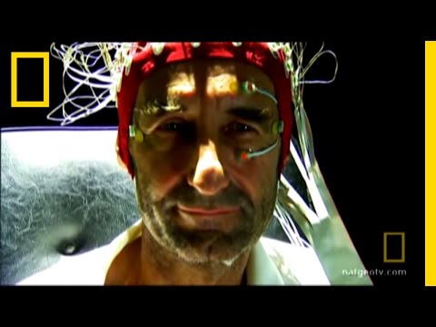 Inside the Tripper&rsquo;s Brain | National Geographic