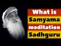 Samyama yogi meditation the gateway to profound stillness and insight