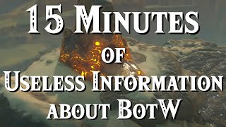 15 Minutes of Useless Information about BotW by The Tony Express 545,313 views 1 year ago 15 minutes