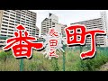 【神戸 番町 関西の最恐】有名アウトローを輩出する 在日と部落とヤクザ やりたい放題の 街 に行ってみた Japan's Untouchables