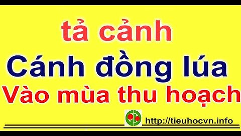 Tả cảnh cánh đồng lúa quê em vào mùa thu hoạch | Tập làm văn 5