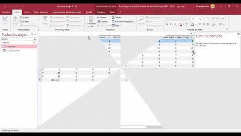 Uso de Filtros y creación de formularios en  MS Access