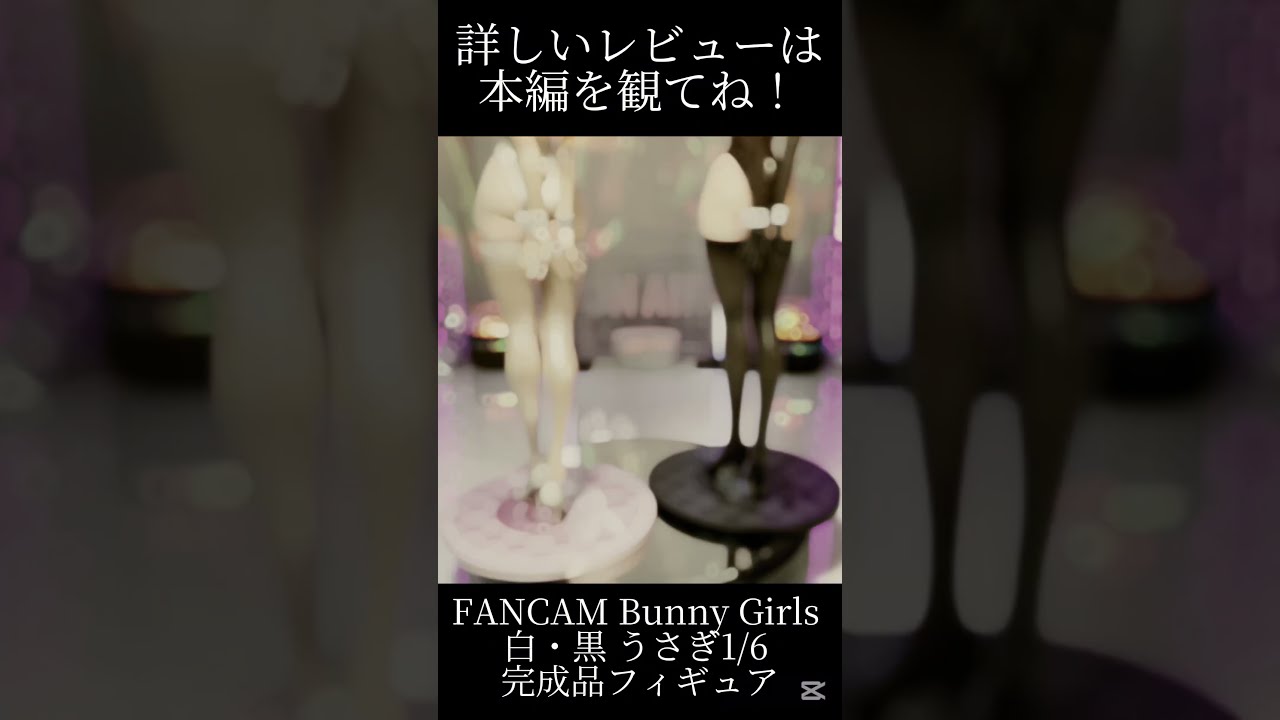 bunnychan様① 7260 yen fabulous rabbit sisters] FANCAM 1st edition Bunny