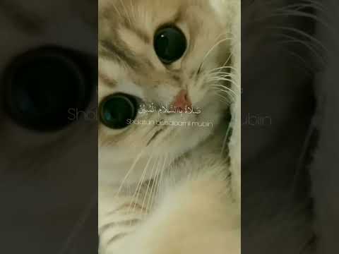 Sholatum Bissalamil Mubin - Gus Zi (Rock Version)