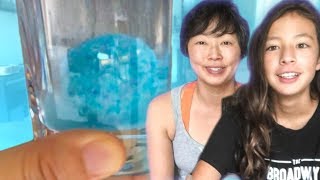 cocktail video