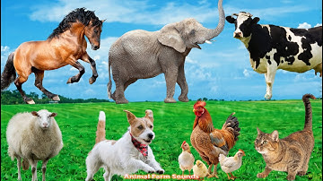 Lovely Animal Moments: Cow, Sheep, Dog, Cat, Chicken, Elephant  - Animal Sounds