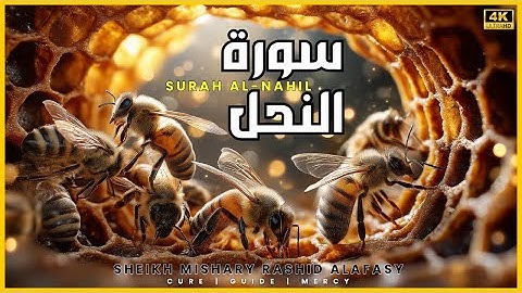 16 Surah An Nahl (The Bees) | Mishary Alafasy | 4K Visuals |  سورة النحل الشيخ مشاري العفاسي