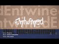 KOHTA YAMAMOTO「entwined」Official Video