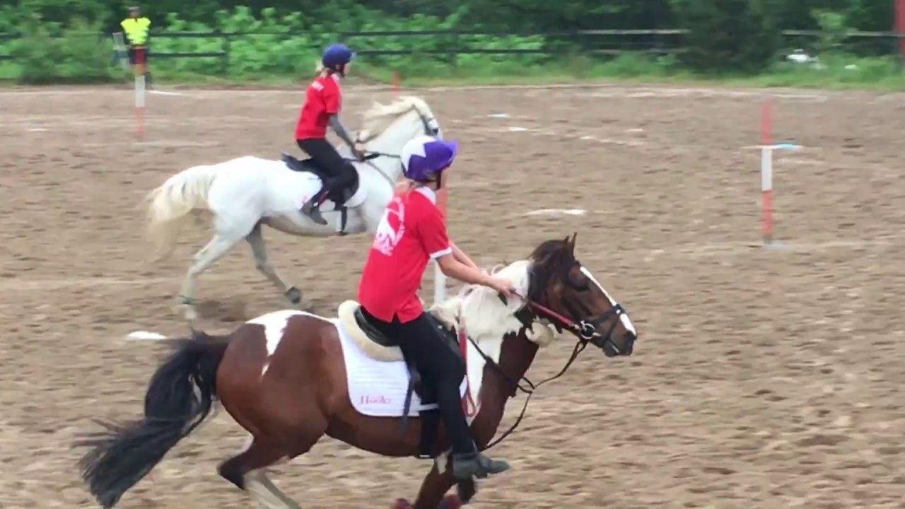 Nissecup 2017- Marte og Tyrone Crystal