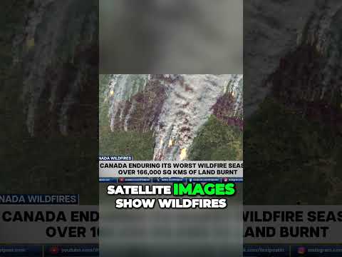 Wildfire Crisis Grips