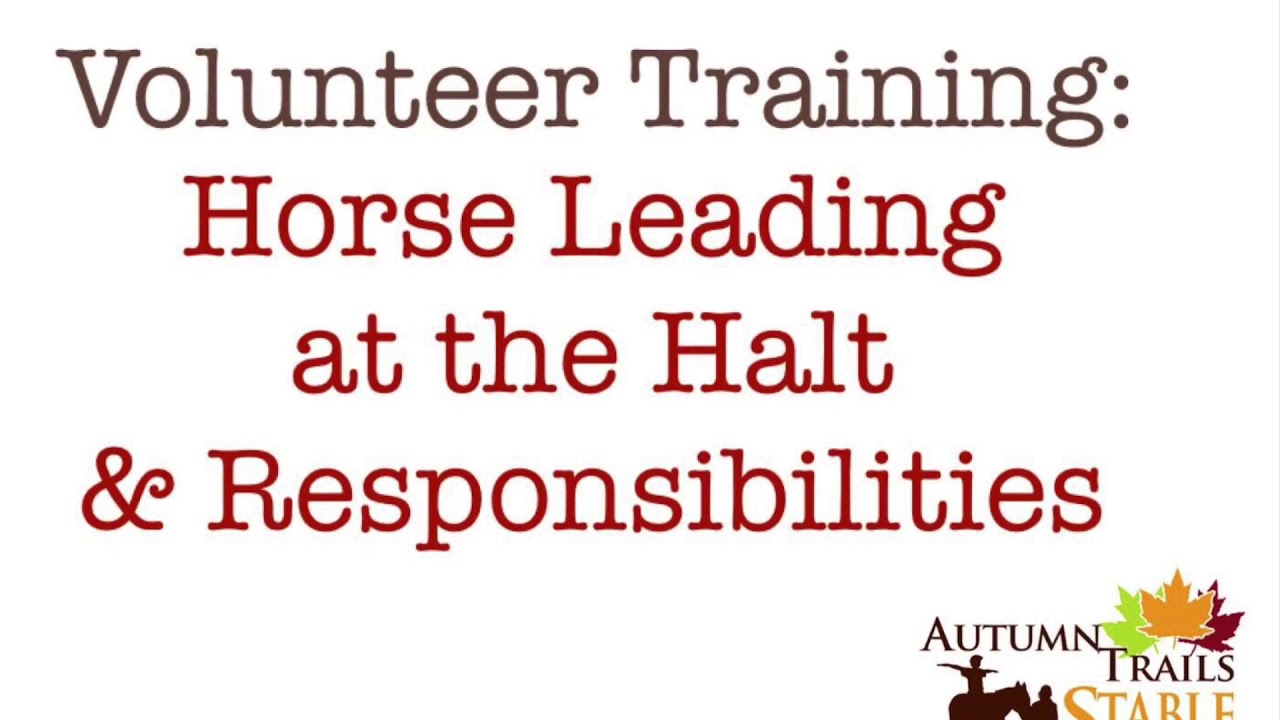 ATS Volunteer Training Horse Leader Responsibilities & the Halt YouTube