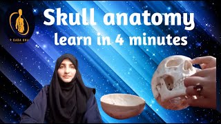 what is skull anatomy //total bones of skull //neurocranium and fasial skeleton?