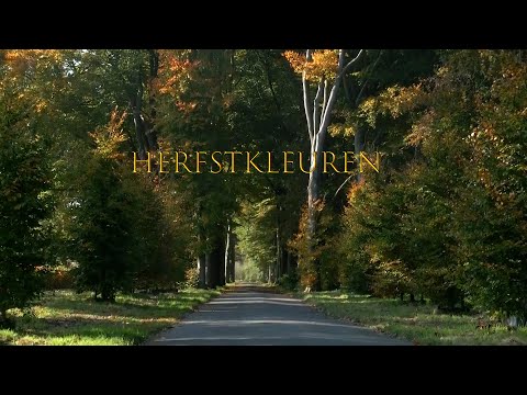 Video: Herfstkleuren