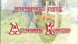 Кинологический центр Барс. Дрессировка собак в Новосибирске Кинологический центр Барс. Дрессировка собак в Новосибирске