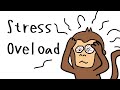 The Real Reason Monkey Is Always STRESSED (And How to Fix It)