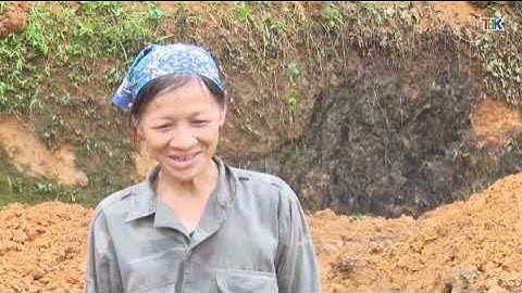 30 6 Thời sự  trưa   Đài PT&TH Bắc Kạn. phát triển mô hình dịch vụ vật tư trong htx nông nghiệp