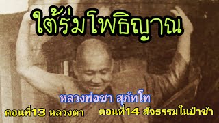 หลวงพ่อชา สุภัทโท ตอนที่13 หลวงตา ตอนที่14 สัจธรรมในป่าช้า #พระธุดงค์ #เรื่องเล่า #หลวงพ่อชา