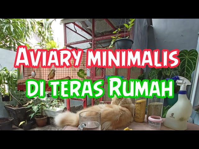 Aviary Minimalis di Teras Rumah class=