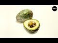 How to draw avocado in watercolor