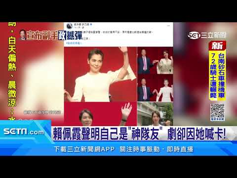 參選引發輿論！賴佩霞：一天就被震撼教育│94看新聞