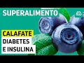 Diabetes e insulina | Los beneficios del calafate para combatir la enfermedad