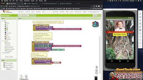 MIT App Inventor: Animal Park App(Animal Sounds - Part 2: Coding Screen1)