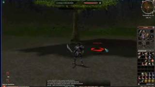metin2 how to g skill (atac tsunami).avi