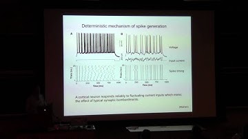 16_04_15: SBE II: Lecture 33: Dr. Kechen Zhang