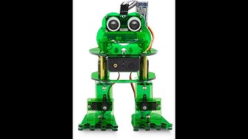 KS0446 Frog Robot Installation