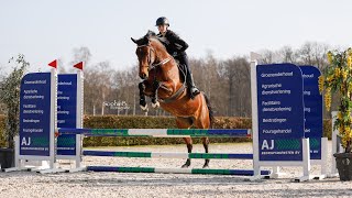 Easter surprise Z (practice round 80 cm.)