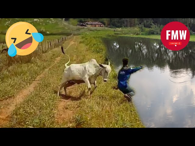 Funny & Hilarious People's Life 😂 #69 - Try not to Laugh | Funny Fails Compilation 2024 class=