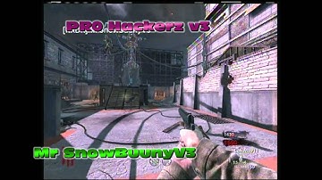 (WAW) Phoenix v2 mod menu