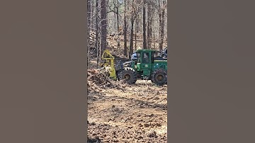 Cutter And A Log‼️ #trending #logger #shortpants #logging #nature #loggerlife #shortshorts #tree