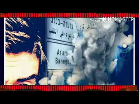 عرعره النقب