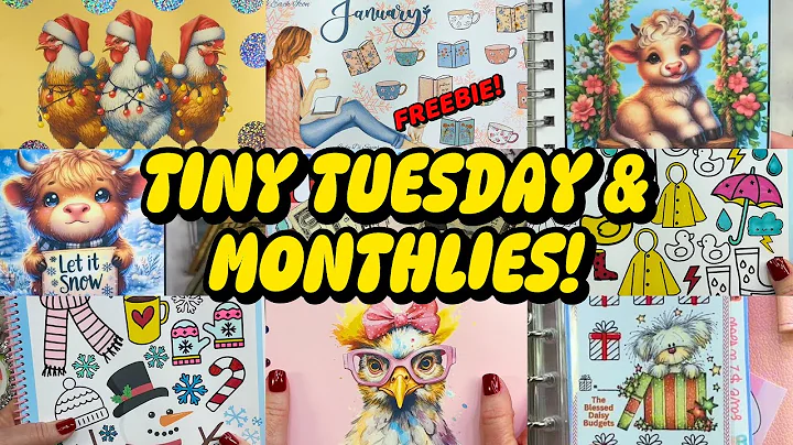 TINY TUESDAY & MONTHLIES! Cash stuffing my 2025 savings challenge