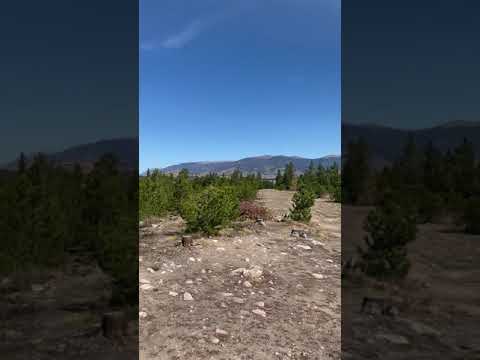 400ft forehand throw