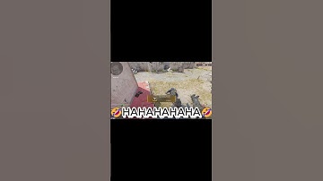 CounterStrike2 Hilarious Moments - Instant Karma 😂😂😂