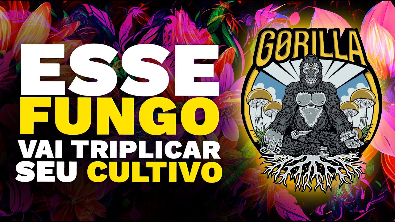 CULTIVO BIOLÓGICO: Como  Potencializar seu Jardim? Descubra! A Teia de Comunicação das Micorrizas