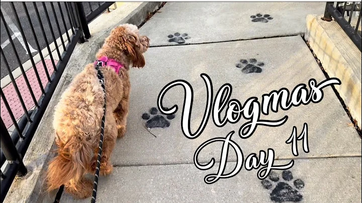 VLOGMAS DAY 11 | SAYING BYE TO HERSHEY… PREPARING FOR OUR TRIP + REAL LIFE MOMENTS