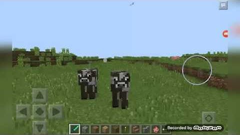 Minecraft pe-MORPH Mod (Mod Showcase and Download Tutorial)