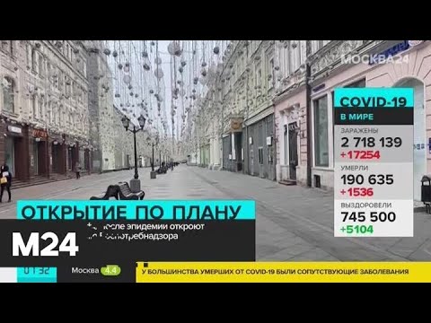 Video: Мышыкты сүйгөндөр үчүн кафе кантип ачса болот