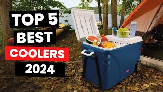 Top 5: Best Coolers (2024)