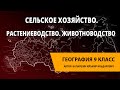 Сельское хозяйство. Растениеводство. Животноводство.